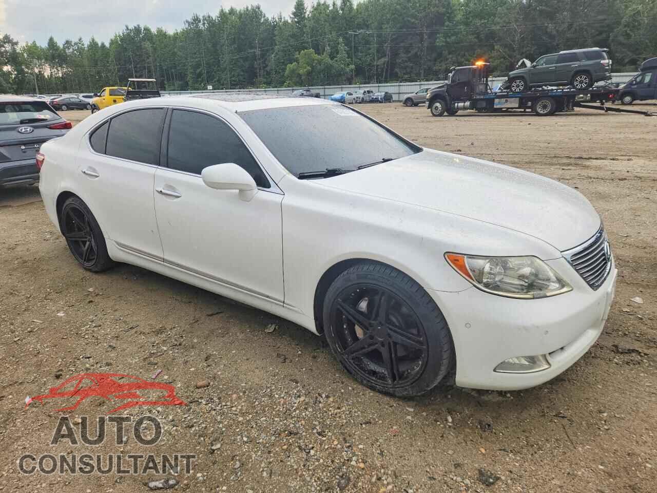 LEXUS LS460 2009 - JTHBL46F195090258