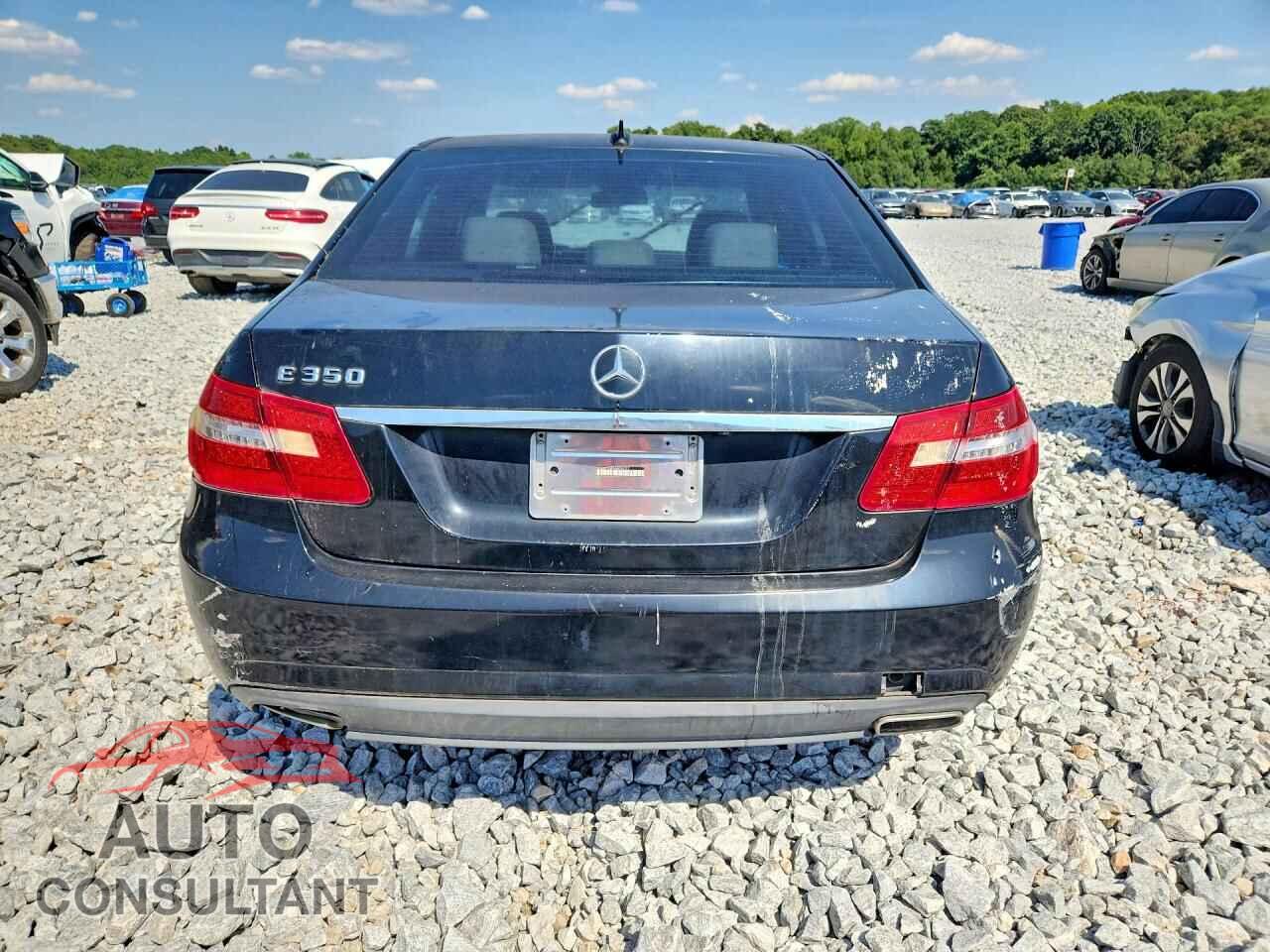 MERCEDES-BENZ E-CLASS 2010 - WDDHF5GB3AA096312