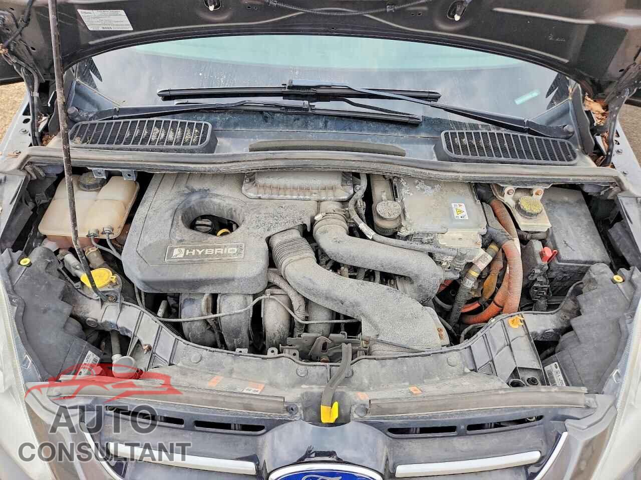 FORD CMAX 2016 - 1FADP5AU4GL106638