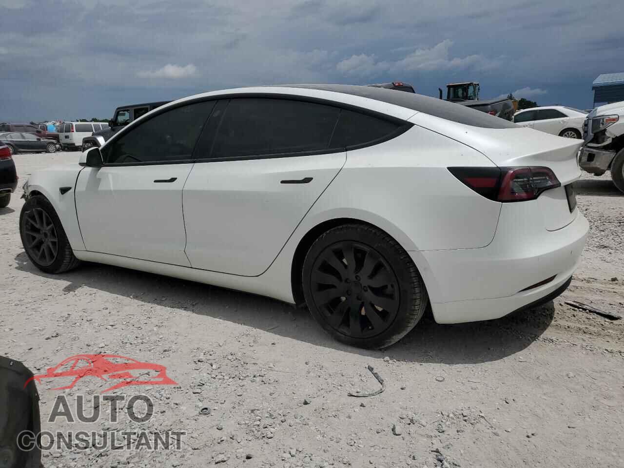 TESLA MODEL 3 2021 - 5YJ3E1EA9MF016775