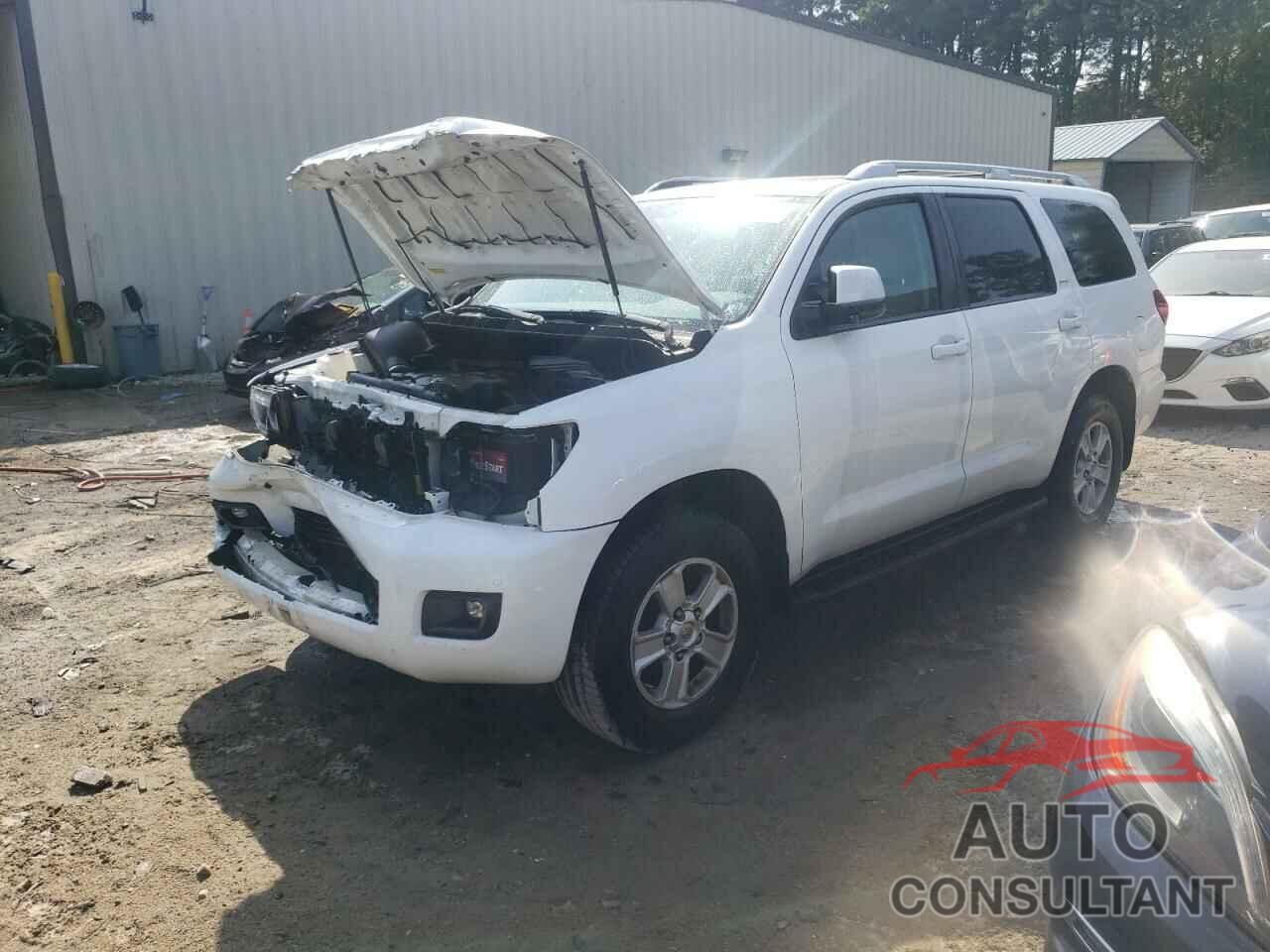 TOYOTA SEQUOIA 2019 - 5TDBY5G16KS166830