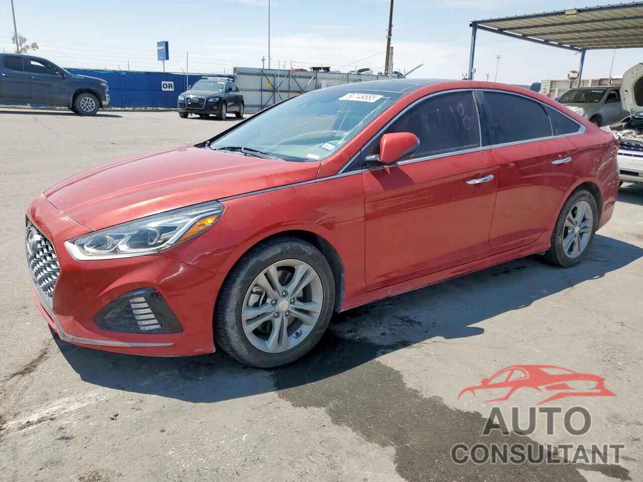 HYUNDAI SONATA 2019 - 5NPE34AF6KH777974