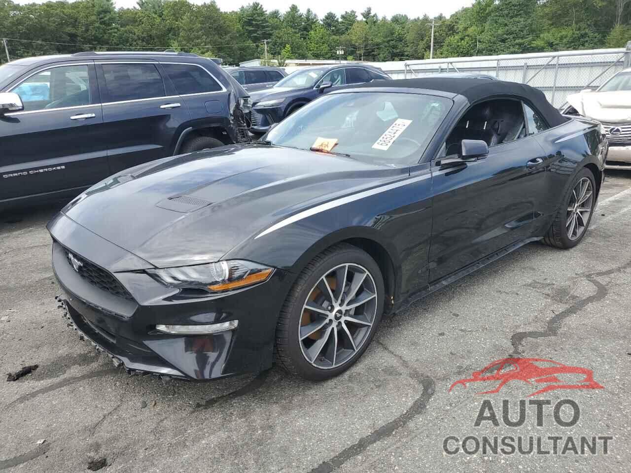FORD ALL Models 2019 - 1FATP8UH3K5159162