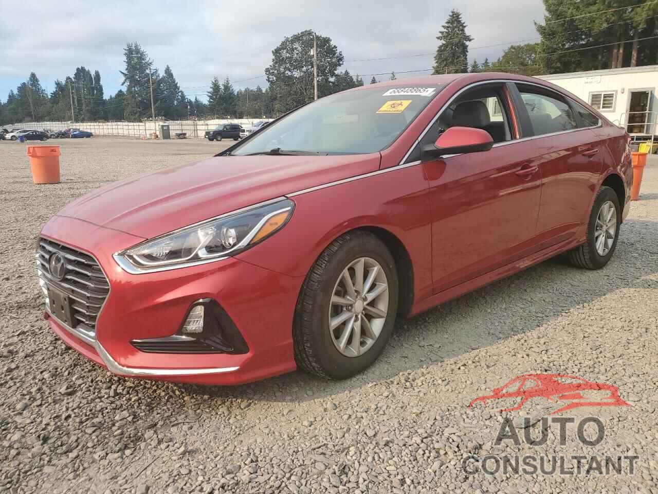 HYUNDAI SONATA 2019 - 5NPE24AF0KH791856