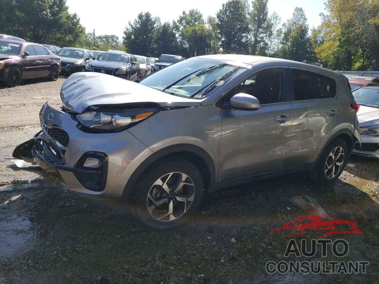 KIA SPORTAGE 2022 - KNDPMCAC6N7974965