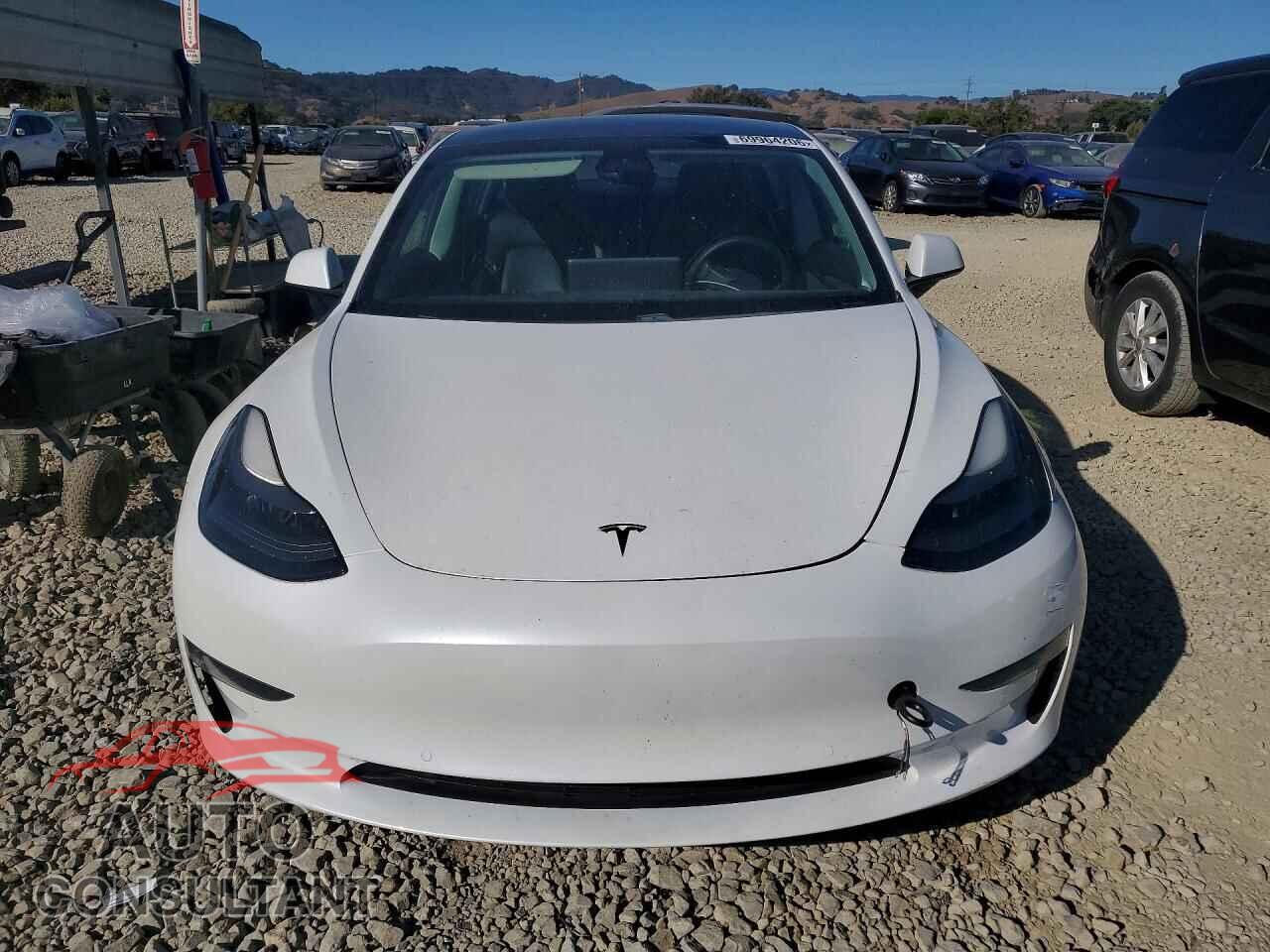 TESLA MODEL 3 2021 - 5YJ3E1EA2MF074923