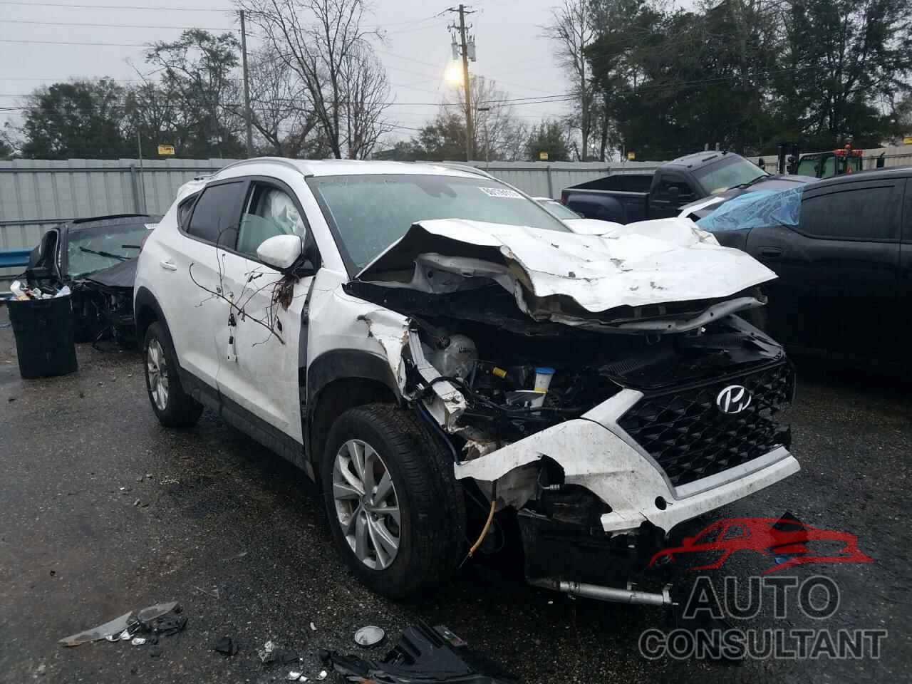 HYUNDAI TUCSON 2019 - KM8J33A43KU017767