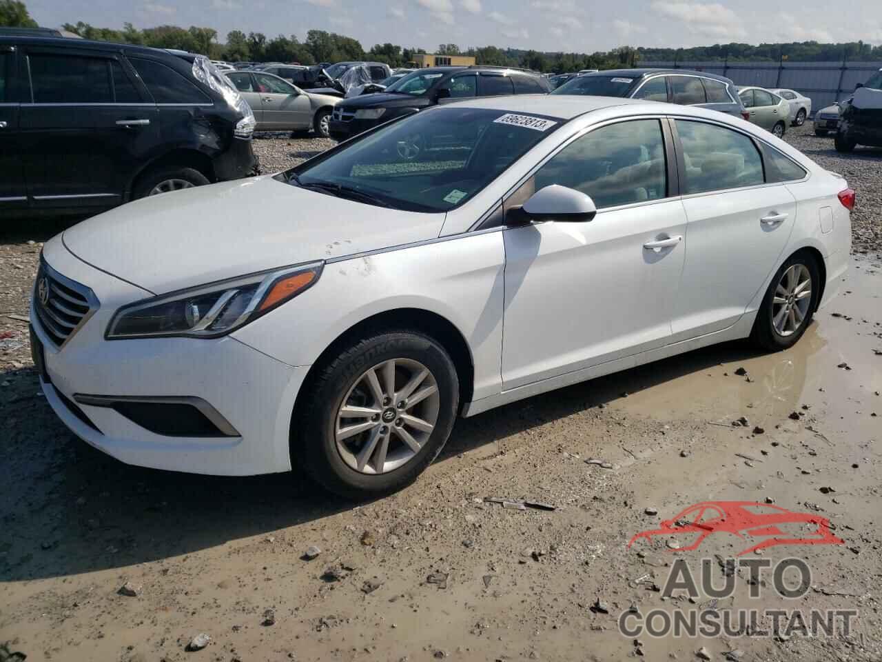 HYUNDAI SONATA 2017 - 5NPE24AF6HH502438