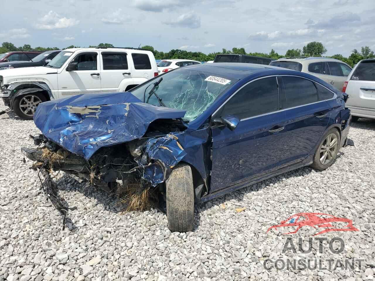 HYUNDAI SONATA 2019 - 5NPE34AFXKH788556