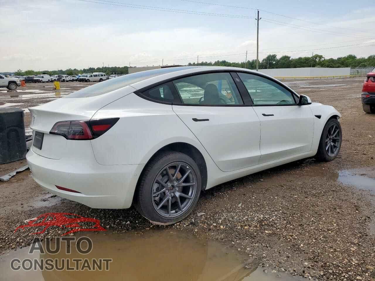 TESLA MODEL 3 2021 - 5YJ3E1EA0MF981802