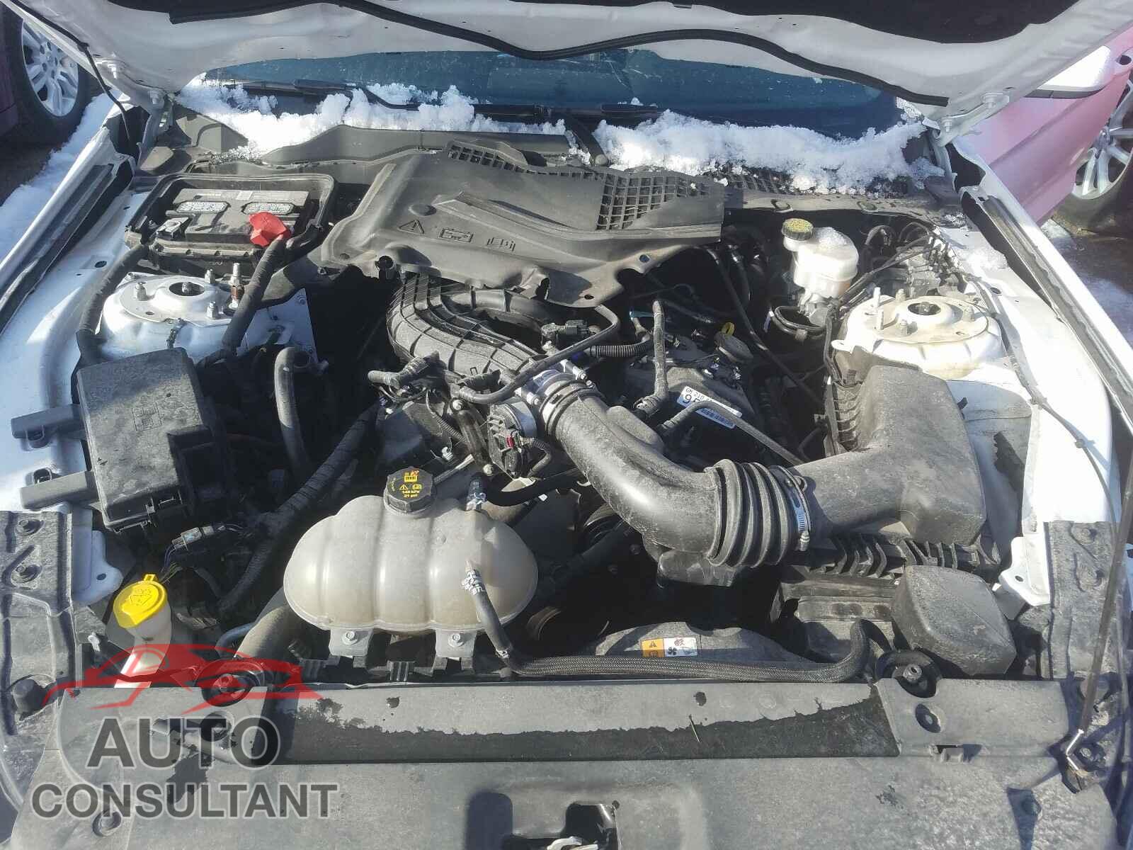 FORD MUSTANG 2017 - 1FA6P8AM6H5219460
