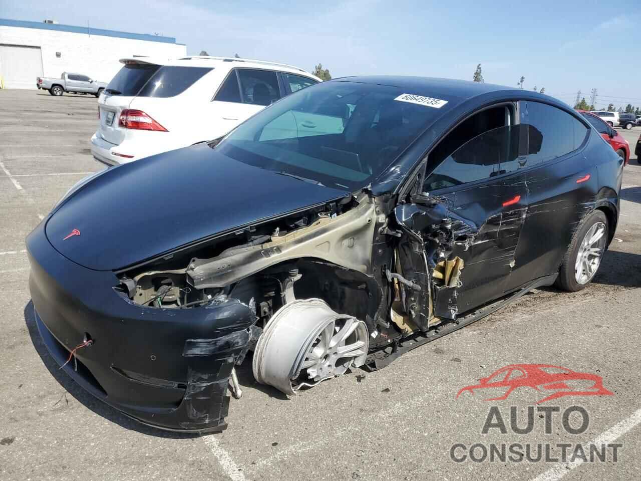 TESLA MODEL Y 2021 - 5YJYGDEE3MF146619