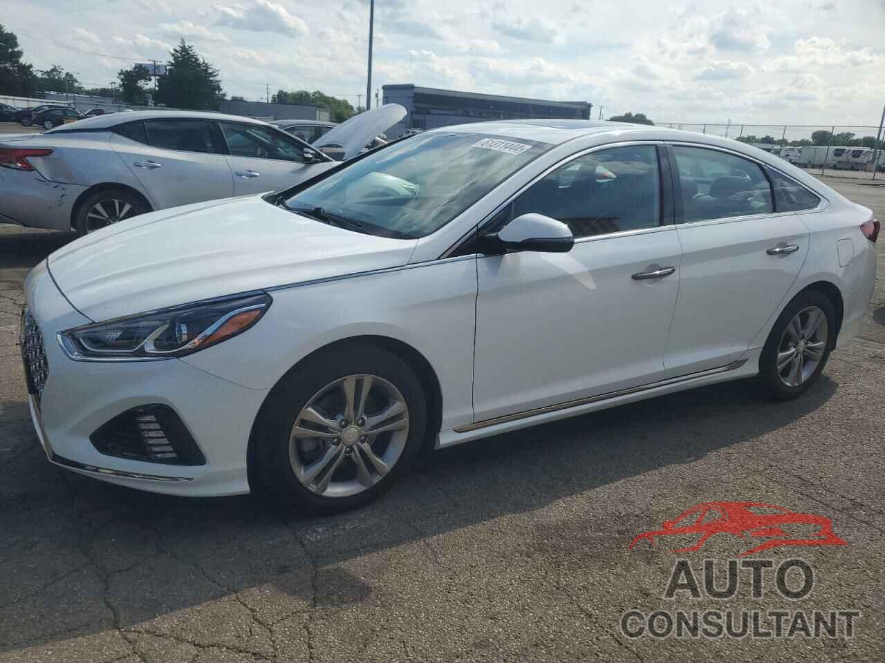 HYUNDAI SONATA 2019 - 5NPE34AF0KH797282