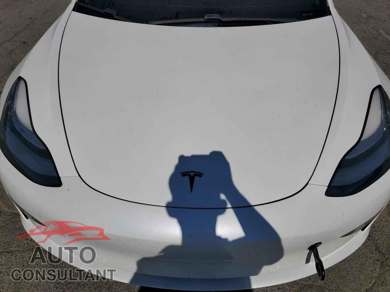 TESLA MODEL 3 2019 - 5YJ3E1EA8KF407557