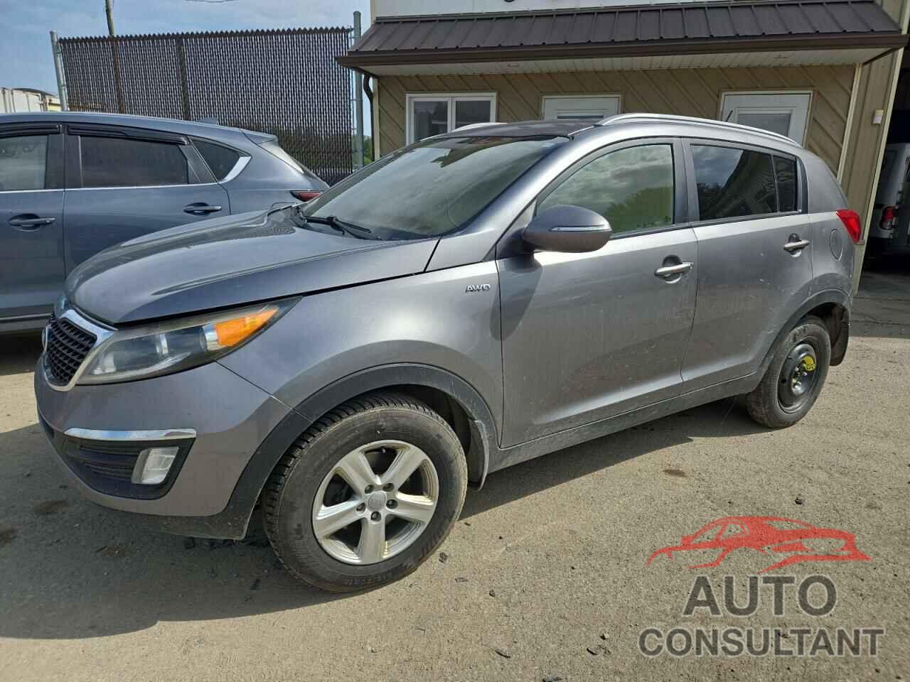 KIA SPORTAGE 2016 - KNDPBCAC8G7816605