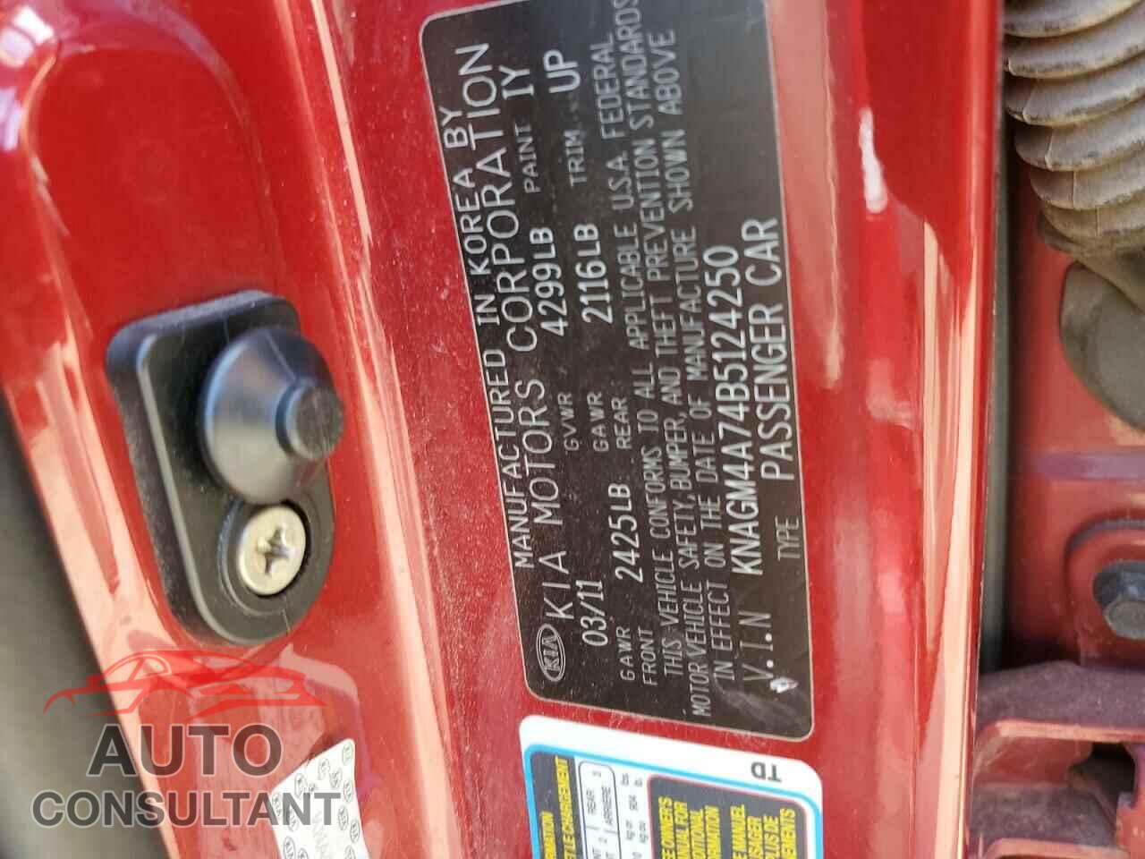 KIA OPTIMA 2011 - KNAGM4A74B5124250
