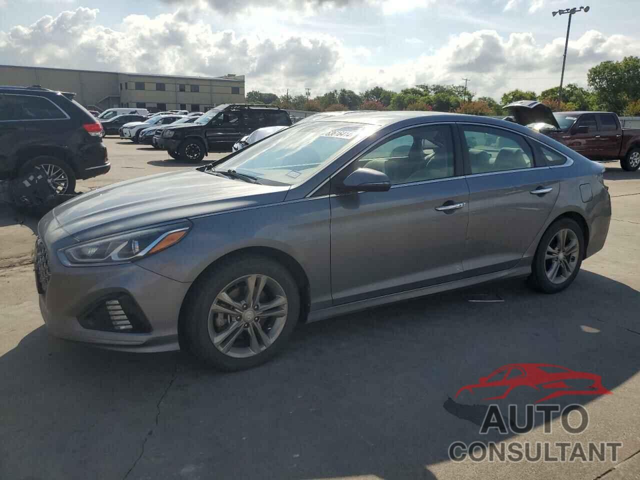 HYUNDAI SONATA 2019 - 5NPE34AF7KH768054