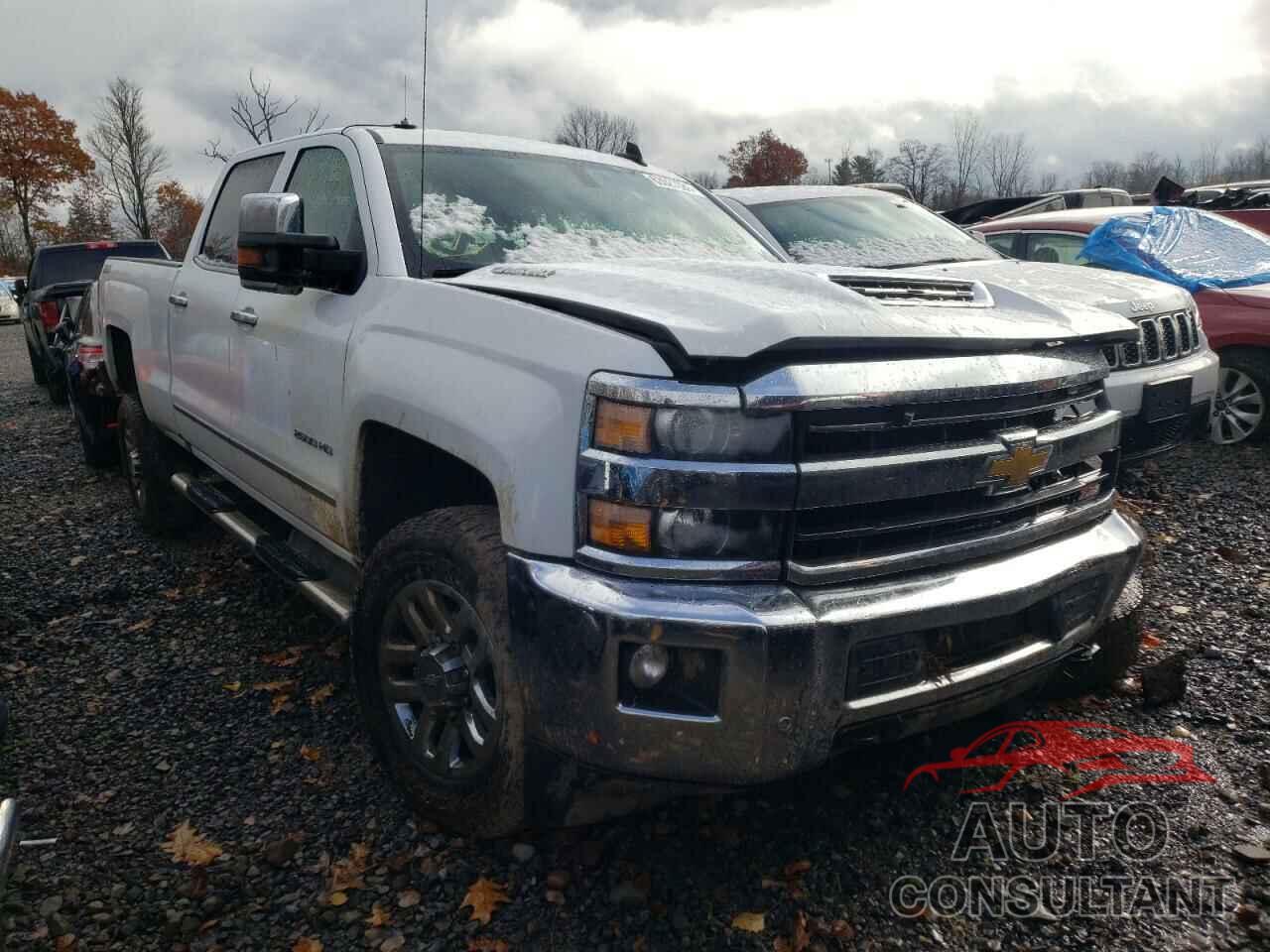 CHEVROLET SILVERADO 2019 - 1GC1KTEY0KF201542
