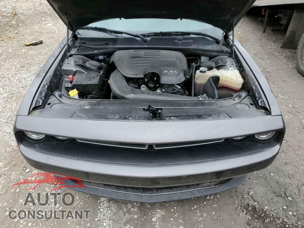 DODGE CHALLENGER 2019 - 2C3CDZAG6KH638449