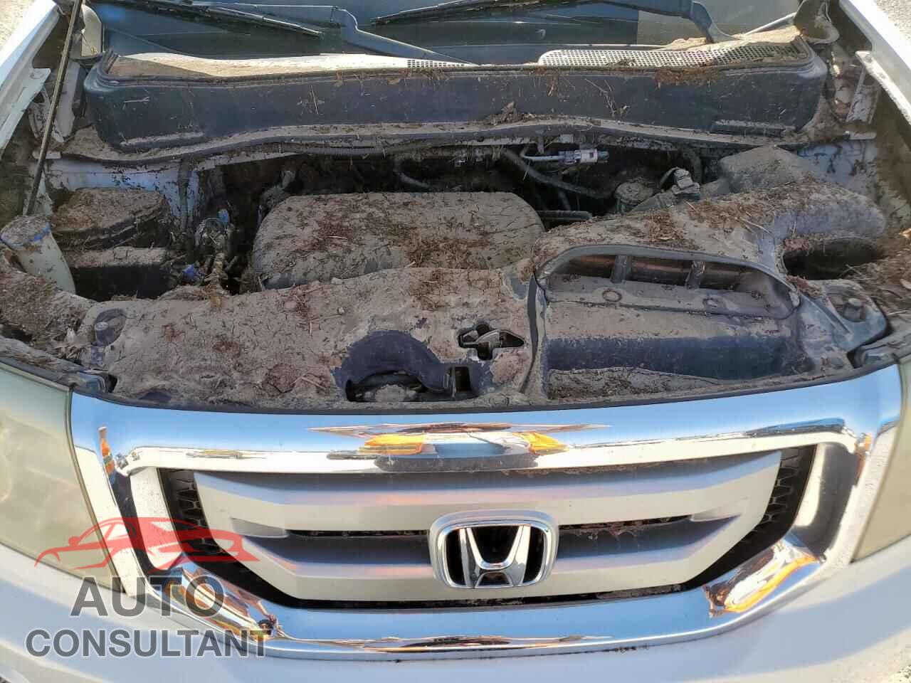 HONDA PILOT 2011 - 5FNYF3H96BB048287