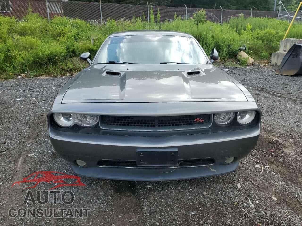 DODGE CHALLENGER 2012 - 2C3CDYBT7CH253733