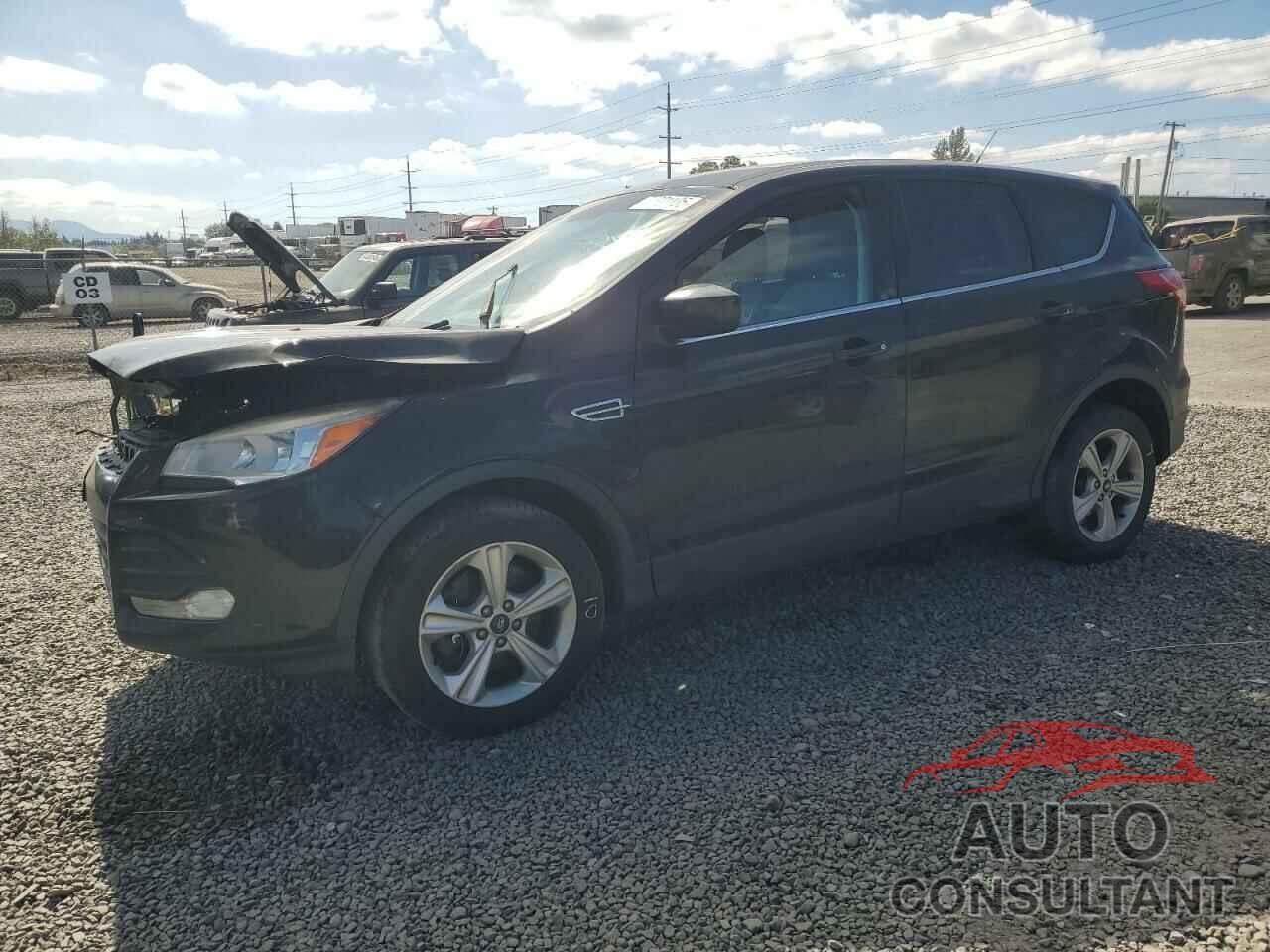 FORD ESCAPE 2014 - 1FMCU9GX6EUA46162