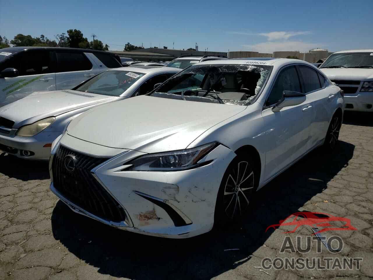 LEXUS ES300 2022 - 58ADA1C19NU016100