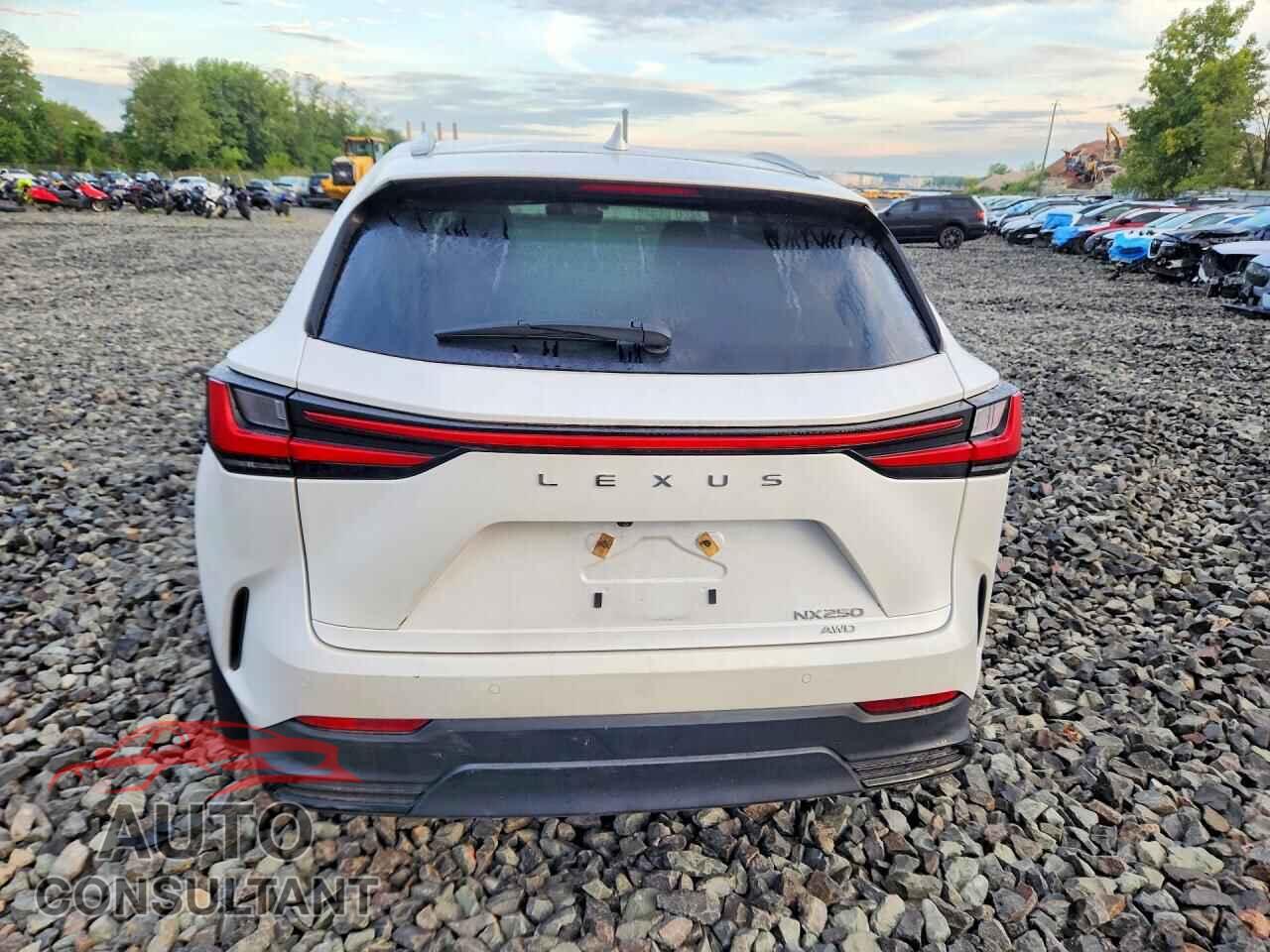 LEXUS NX 2025 - 2T2ADCEZ9SC005509