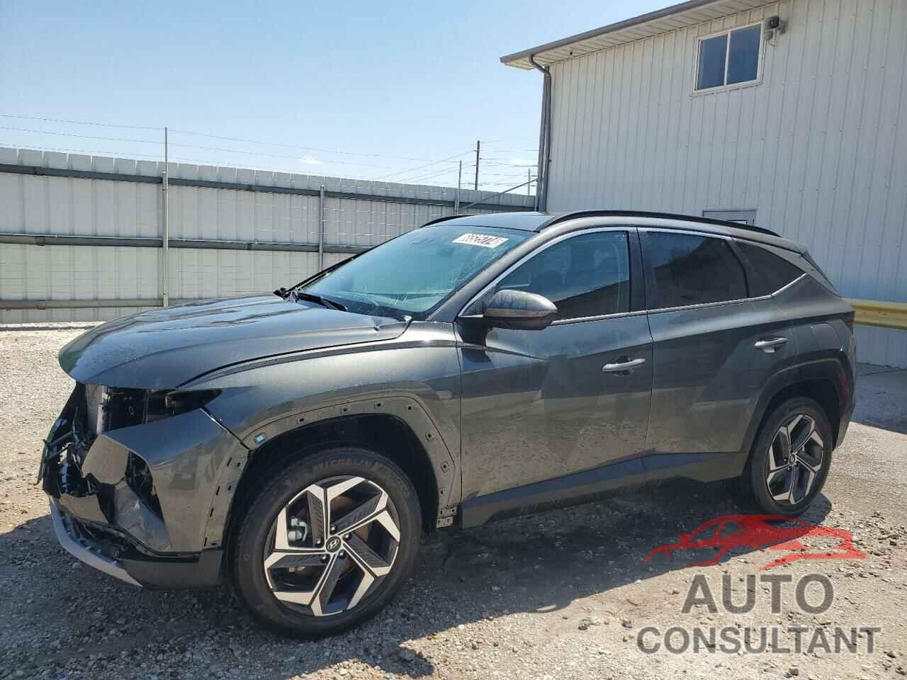 HYUNDAI TUCSON 2024 - KM8JBDD23RU173403