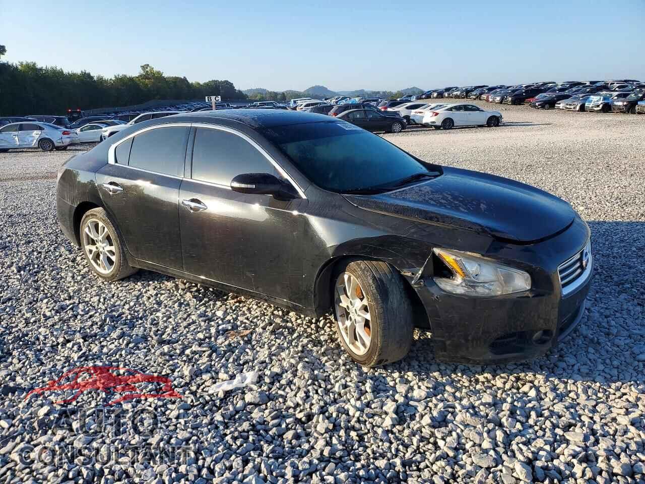 NISSAN MAXIMA 2013 - 1N4AA5AP1DC838347