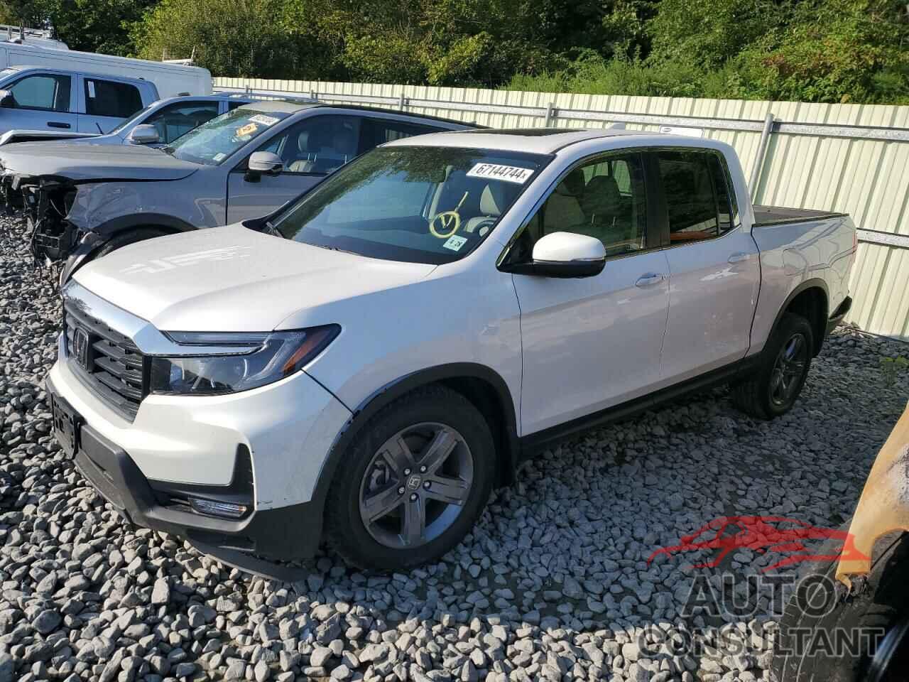 HONDA RIDGELINE 2023 - 5FPYK3F52PB050984