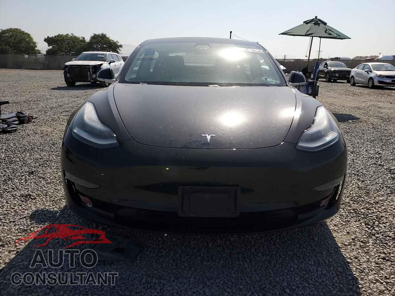 TESLA MODEL 3 2019 - 5YJ3E1EA4KF306905