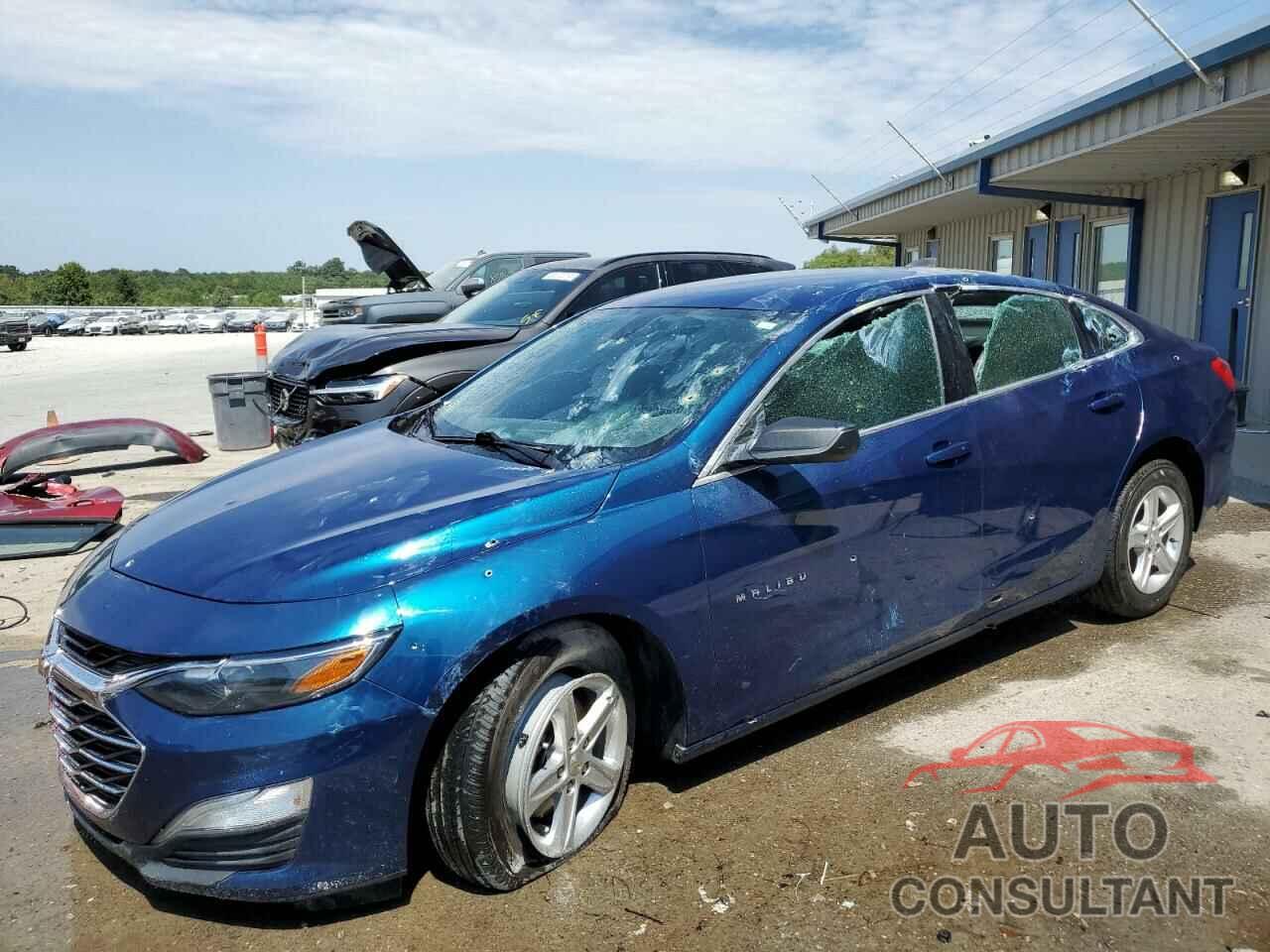 CHEVROLET MALIBU 2019 - 1G1ZB5ST9KF115520