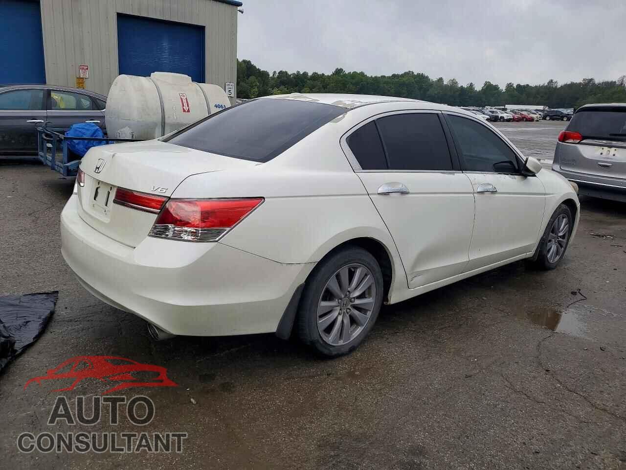 HONDA ACCORD 2011 - 5KBCP3F82BB004029