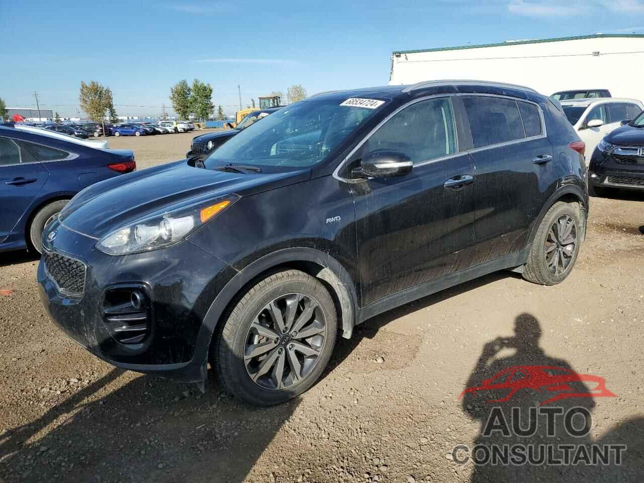 KIA SPORTAGE 2017 - KNDPNCAC1H7116112