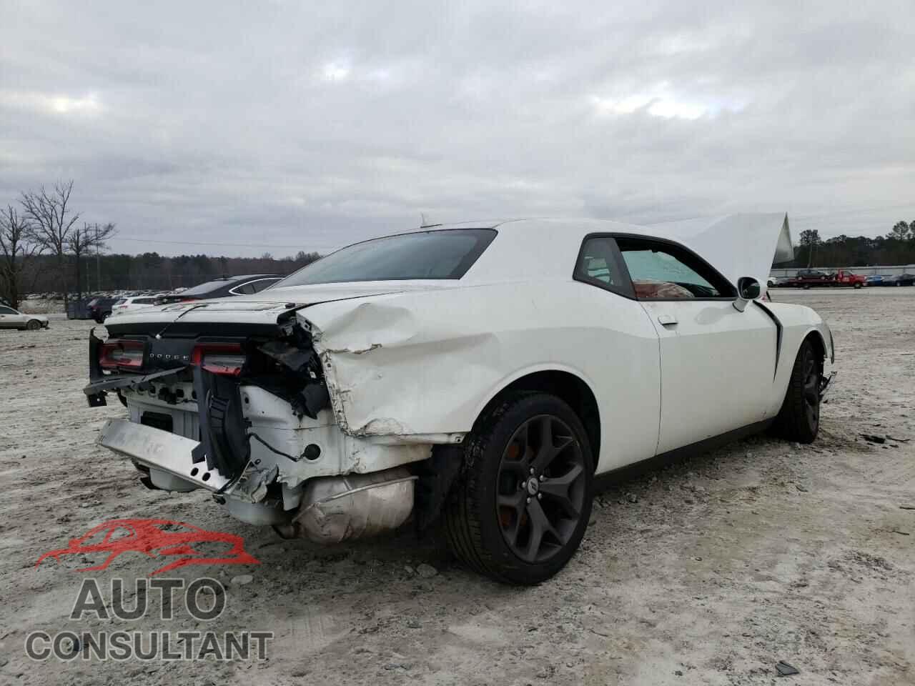 DODGE CHALLENGER 2019 - 2C3CDZAG6KH659737