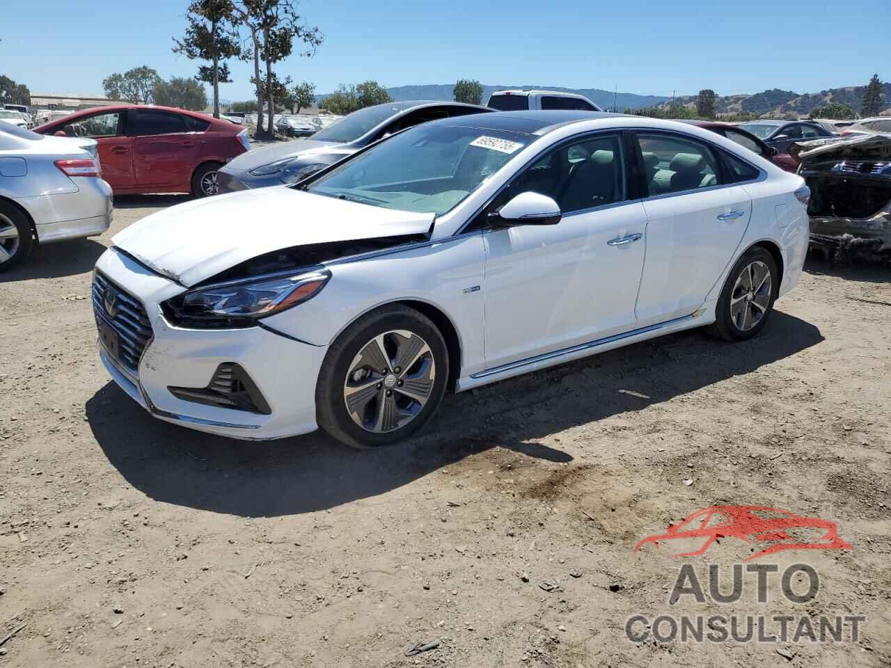 HYUNDAI SONATA 2019 - KMHE34L31KA090634