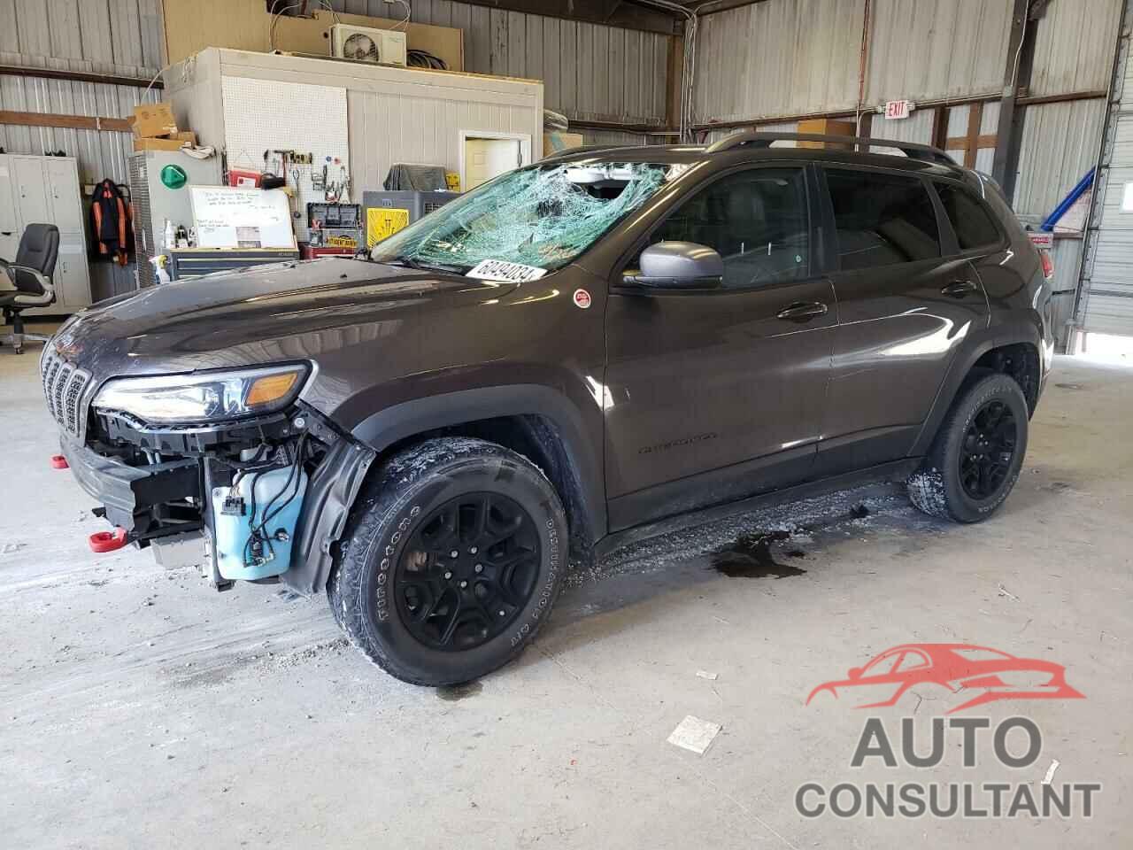 JEEP CHEROKEE 2019 - 1C4PJMBX9KD101062