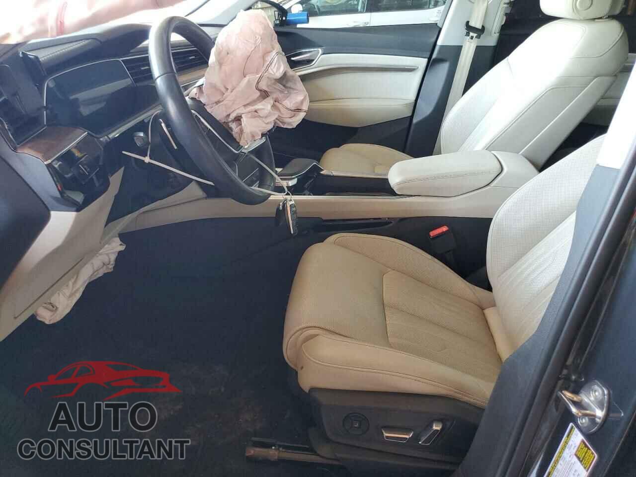 AUDI E-TRON 2019 - WA1VABGE7KB010428