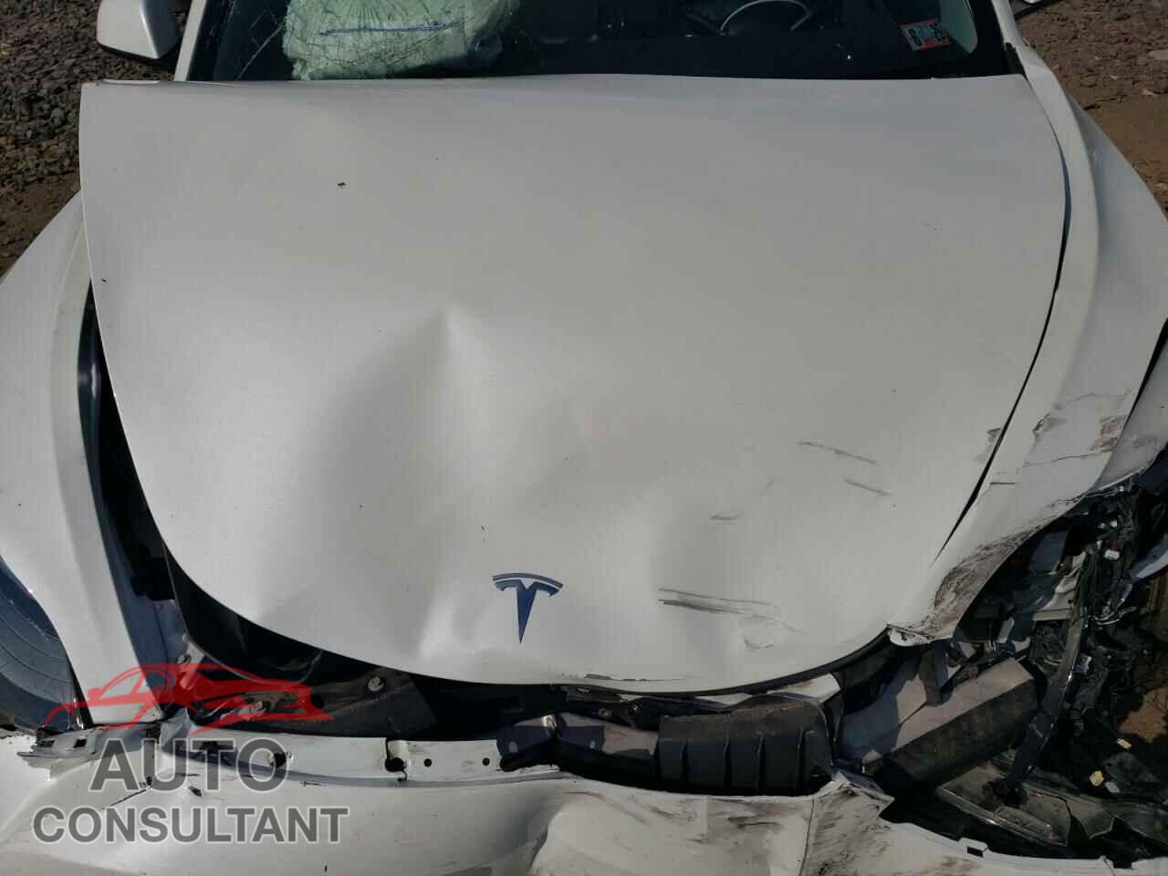 TESLA MODEL 3 2021 - 5YJ3E1EB8MF919072