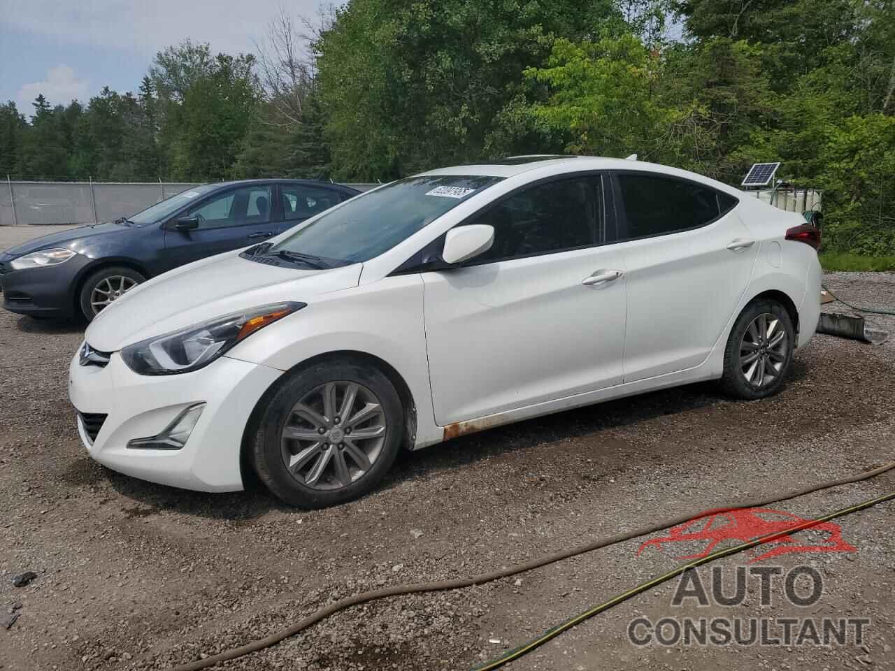HYUNDAI ELANTRA 2014 - 5NPDH4AE7EH467275