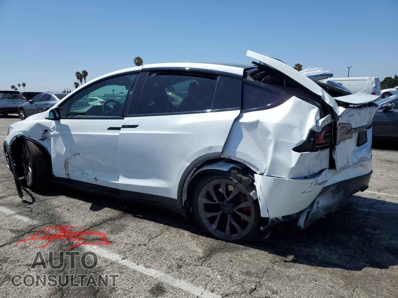 TESLA MODEL X 2024 - 7SAXCBE66RF442071