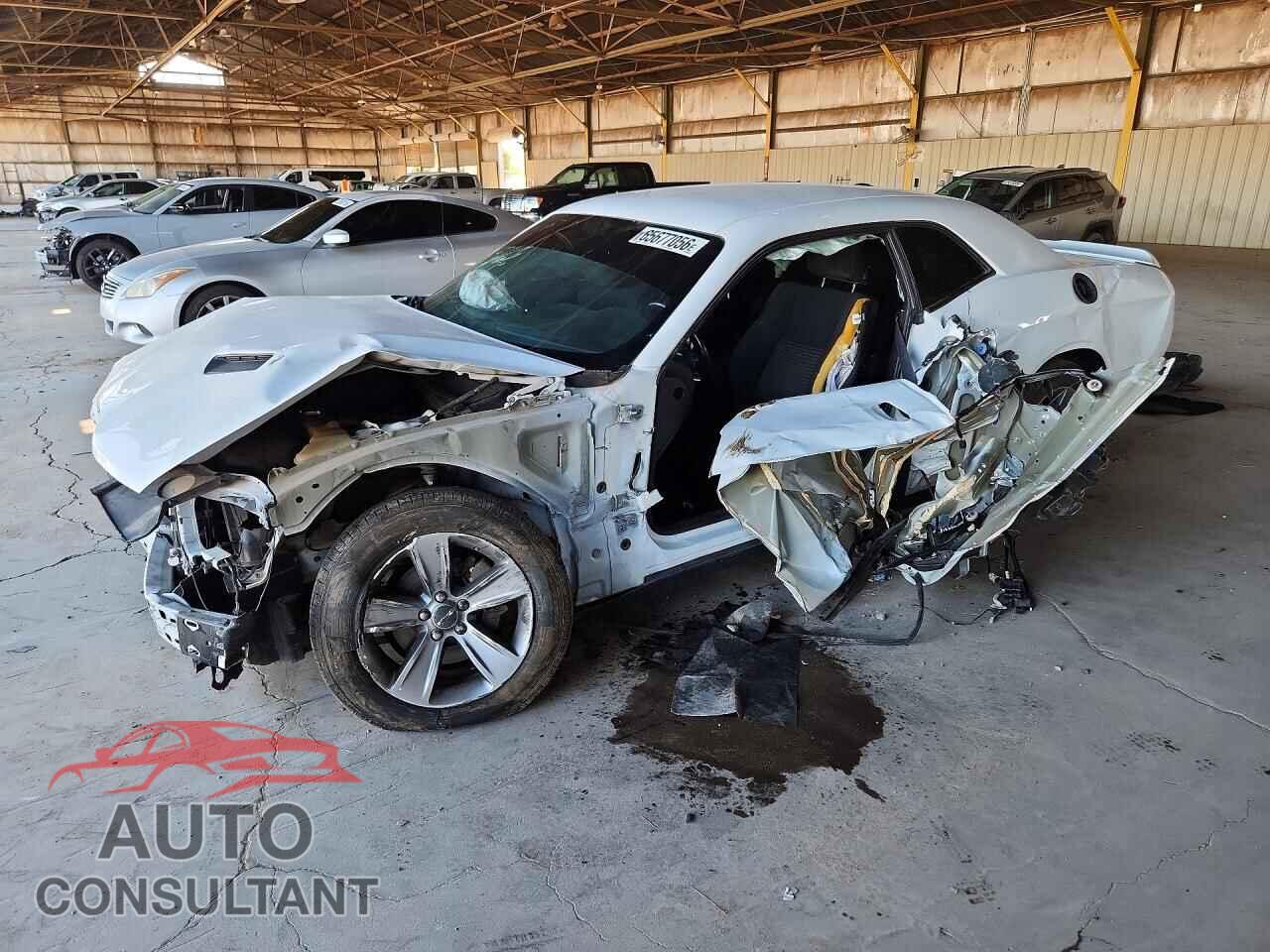 DODGE CHALLENGER 2019 - 2C3CDZAG0KH701044