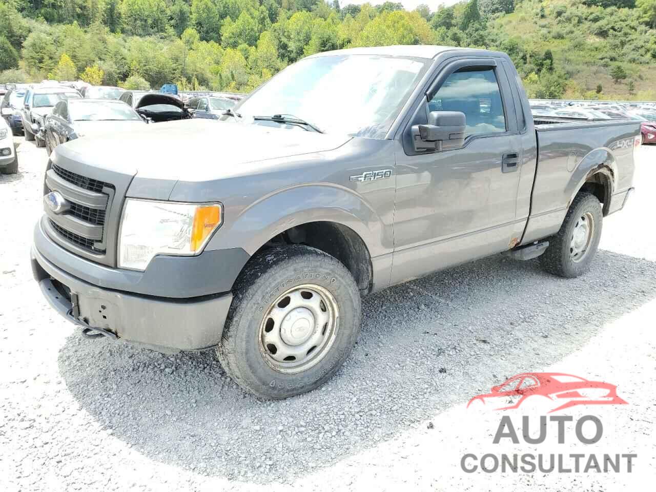 FORD All Models 2013 - 1FTMF1EF7DKF67755