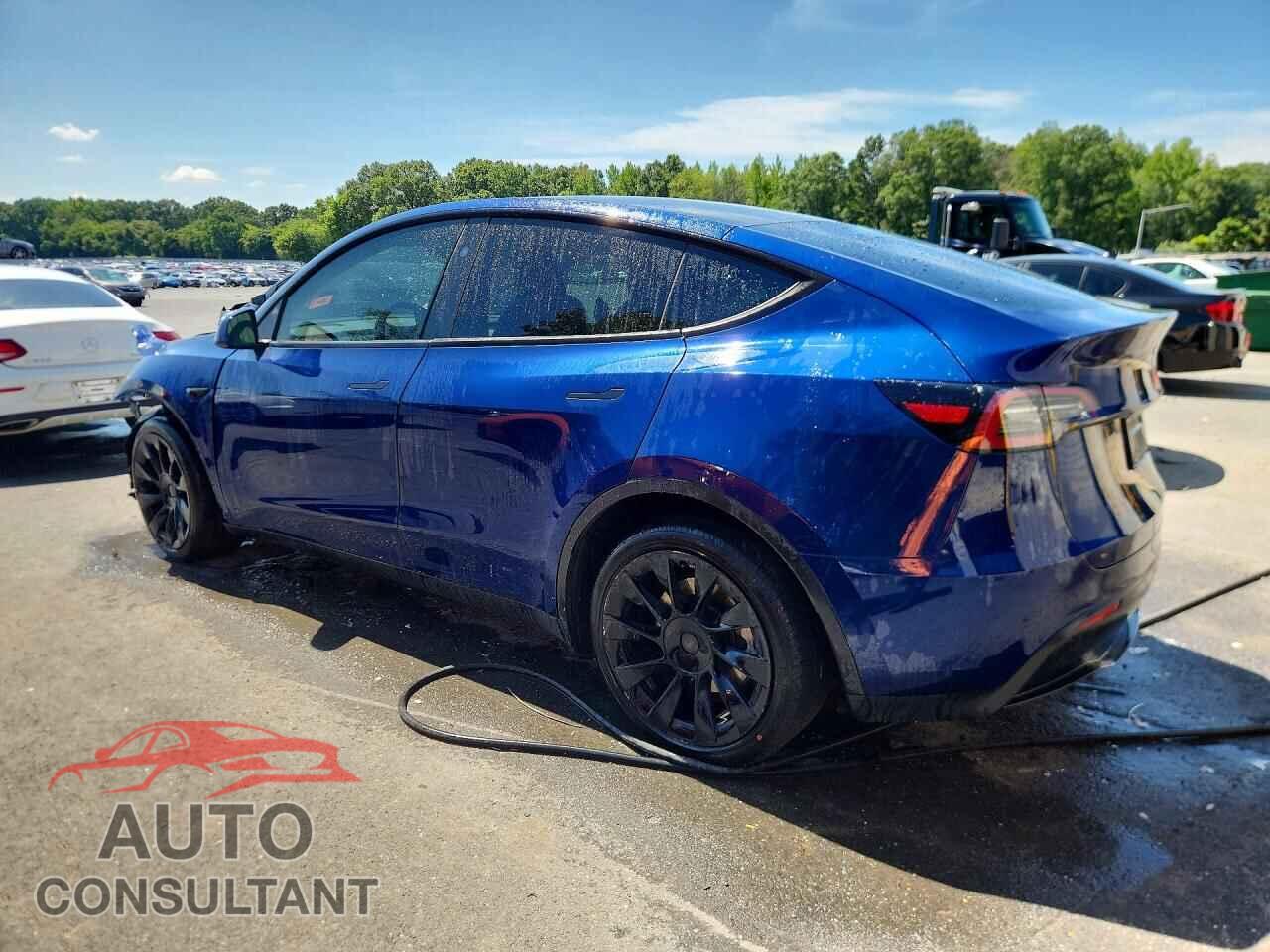 TESLA MODEL Y 2024 - 7SAYGDEE8RA237151