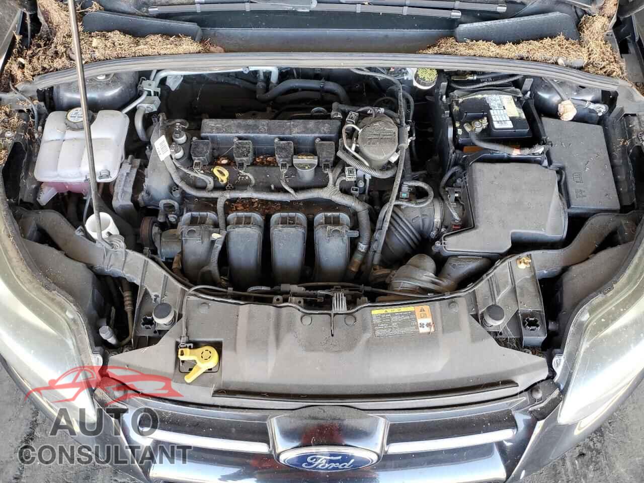 FORD FOCUS 2012 - 1FAHP3N2XCL452878