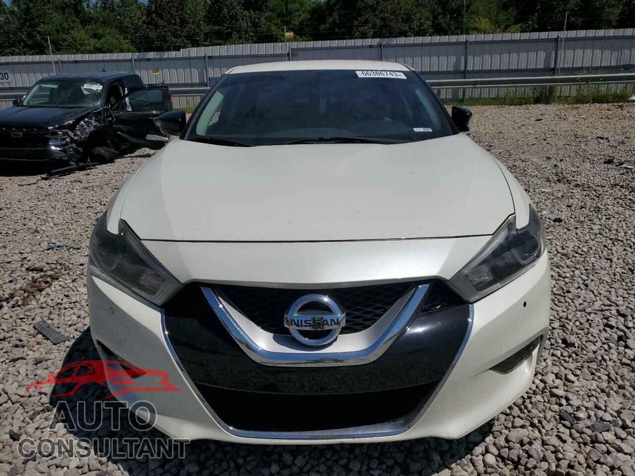 NISSAN MAXIMA 2017 - 1N4AA6AP6HC395673