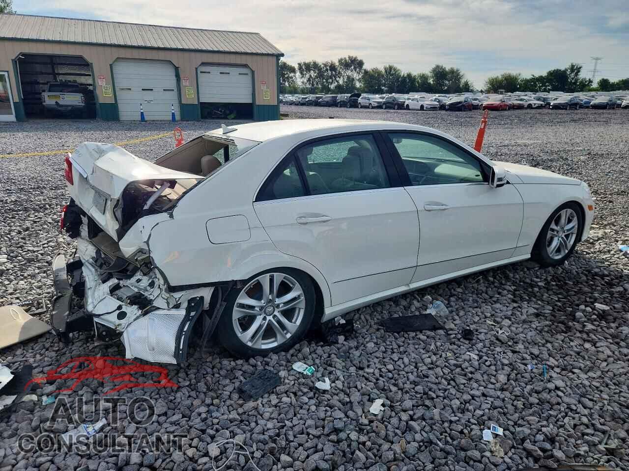 MERCEDES-BENZ E-CLASS 2010 - WDDHF7CB9AA168664