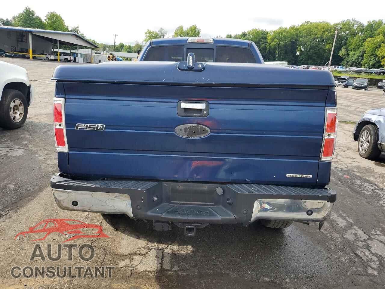 FORD F150 2011 - 1FTFX1EF2BFA54697