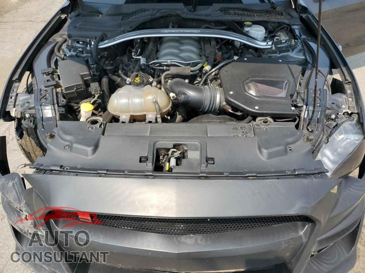 FORD MUSTANG 2019 - 1FA6P8CFXK5201193